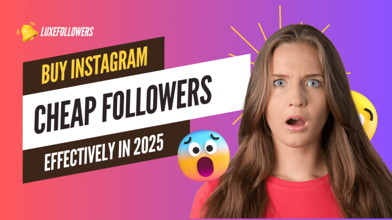 buy Instagram followers cheap