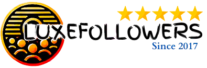 Buy instagram followers luxefollowers